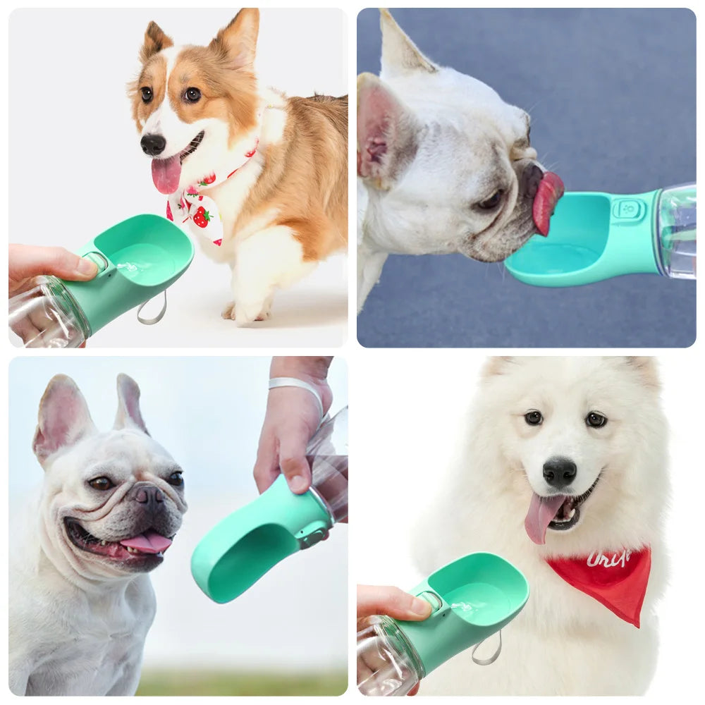 Gourde de Promenade pour Chien avec Bol Intégré, 300 à 550 ml - SAWAH
